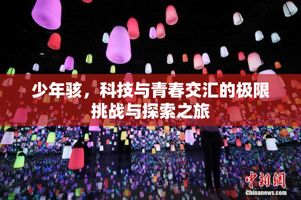 少年骇，科技与青春交汇的极限挑战与探索之旅