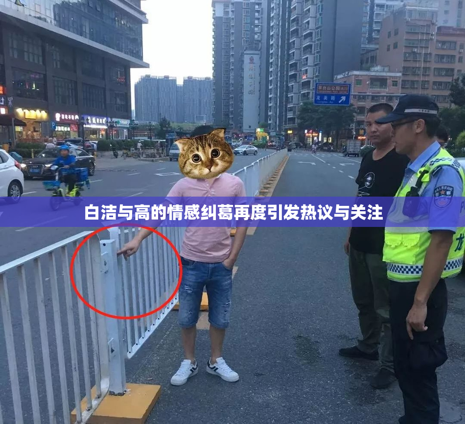 白洁与高的情感纠葛再度引发热议与关注