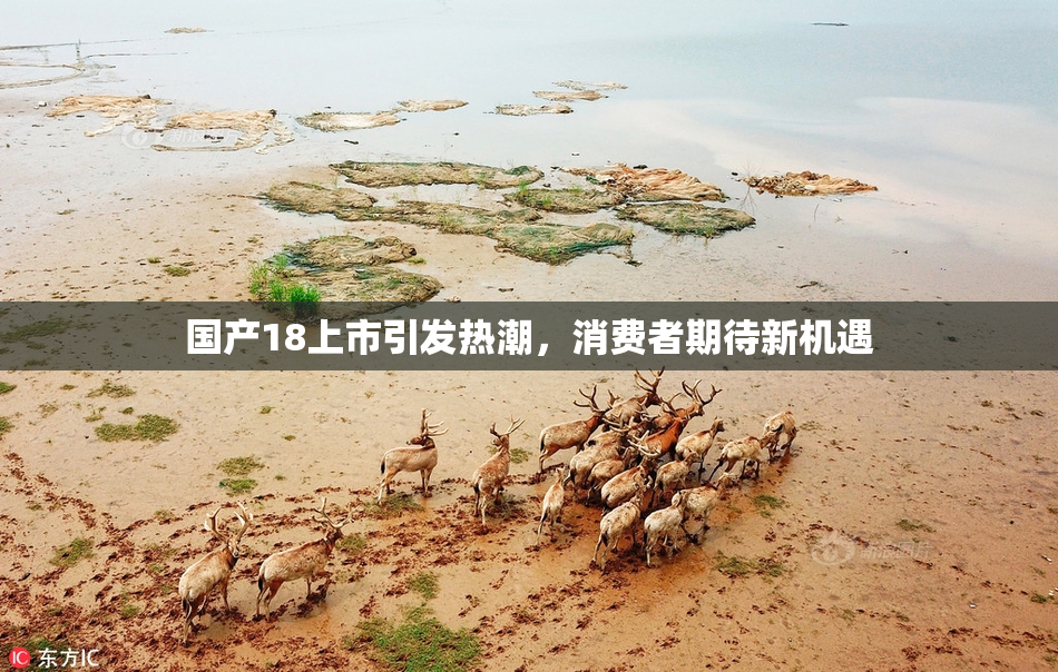 国产18上市引发热潮，消费者期待新机遇