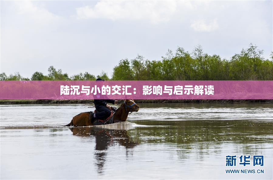 陆沉与小的交汇：影响与启示解读
