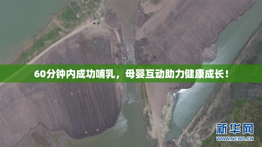 60分钟内成功哺乳，母婴互动助力健康成长！