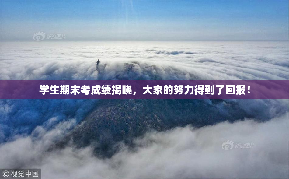学生期末考成绩揭晓，大家的努力得到了回报！