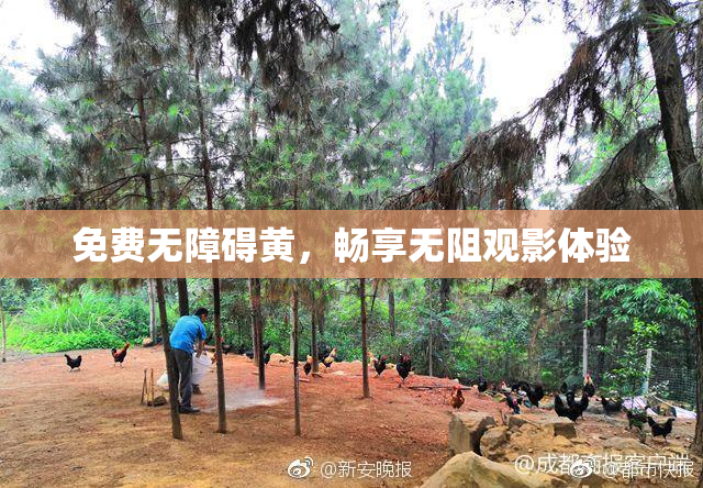 免费无障碍黄，畅享无阻观影体验