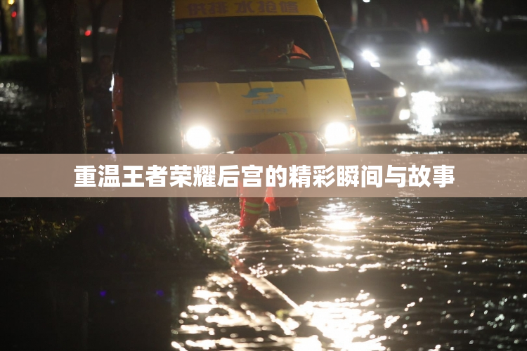 重温王者荣耀后宫的精彩瞬间与故事