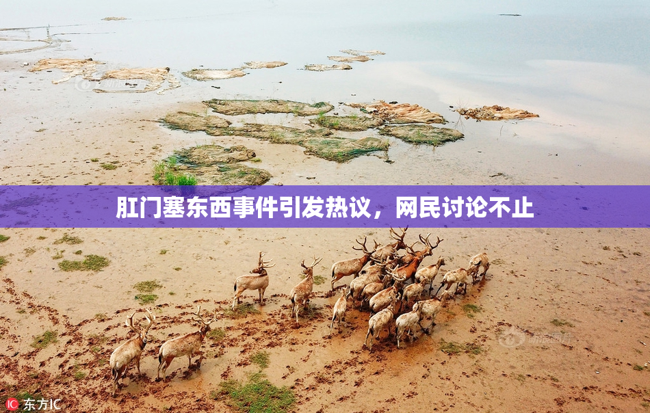 肛门塞东西事件引发热议，网民讨论不止