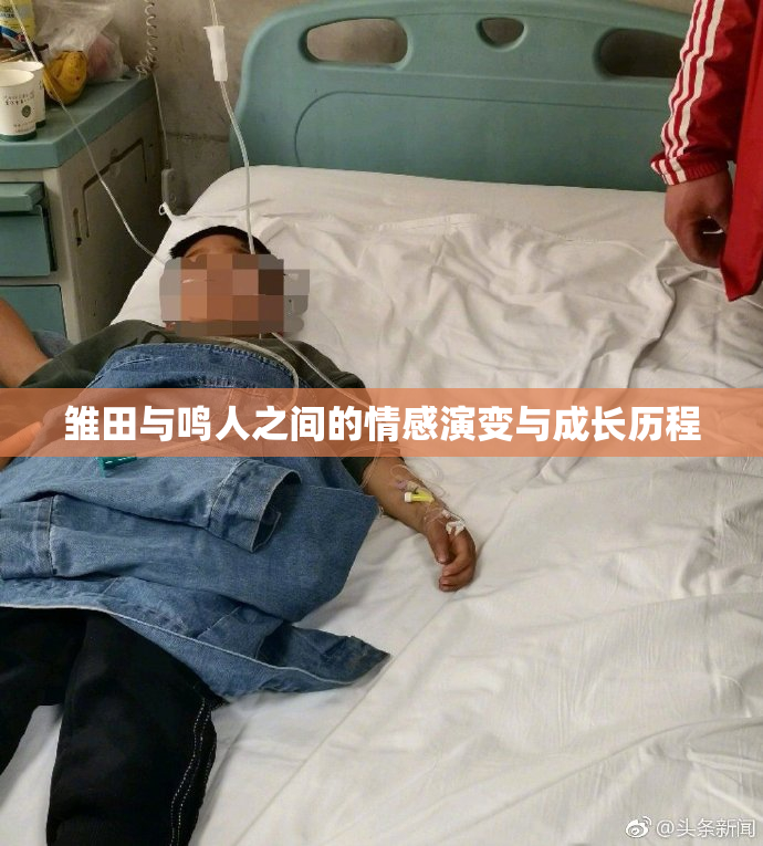 雏田与鸣人之间的情感演变与成长历程