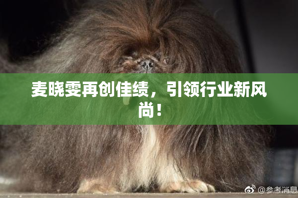 麦晓雯再创佳绩，引领行业新风尚！