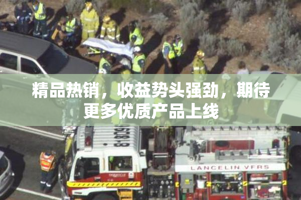 精品热销，收益势头强劲，期待更多优质产品上线