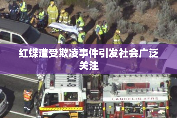 红蝶遭受欺凌事件引发社会广泛关注