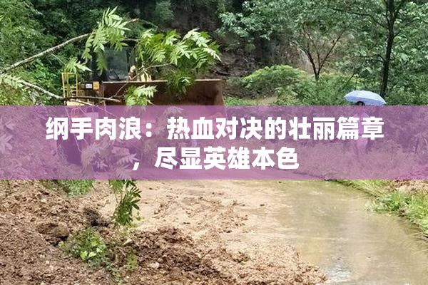 纲手肉浪：热血对决的壮丽篇章，尽显英雄本色