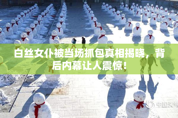 白丝女仆被当场抓包真相揭晓，背后内幕让人震惊！