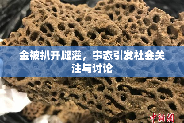 金被扒开腿灌，事态引发社会关注与讨论