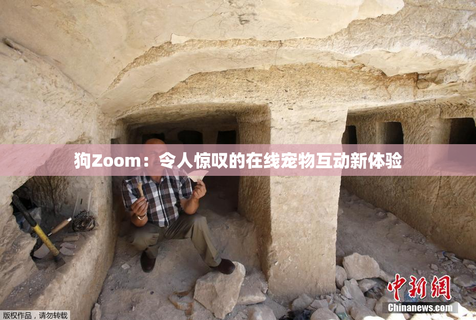 狗Zoom：令人惊叹的在线宠物互动新体验