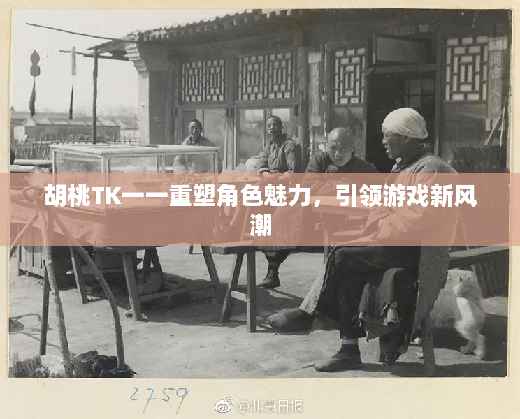 胡桃TK一一重塑角色魅力，引领游戏新风潮