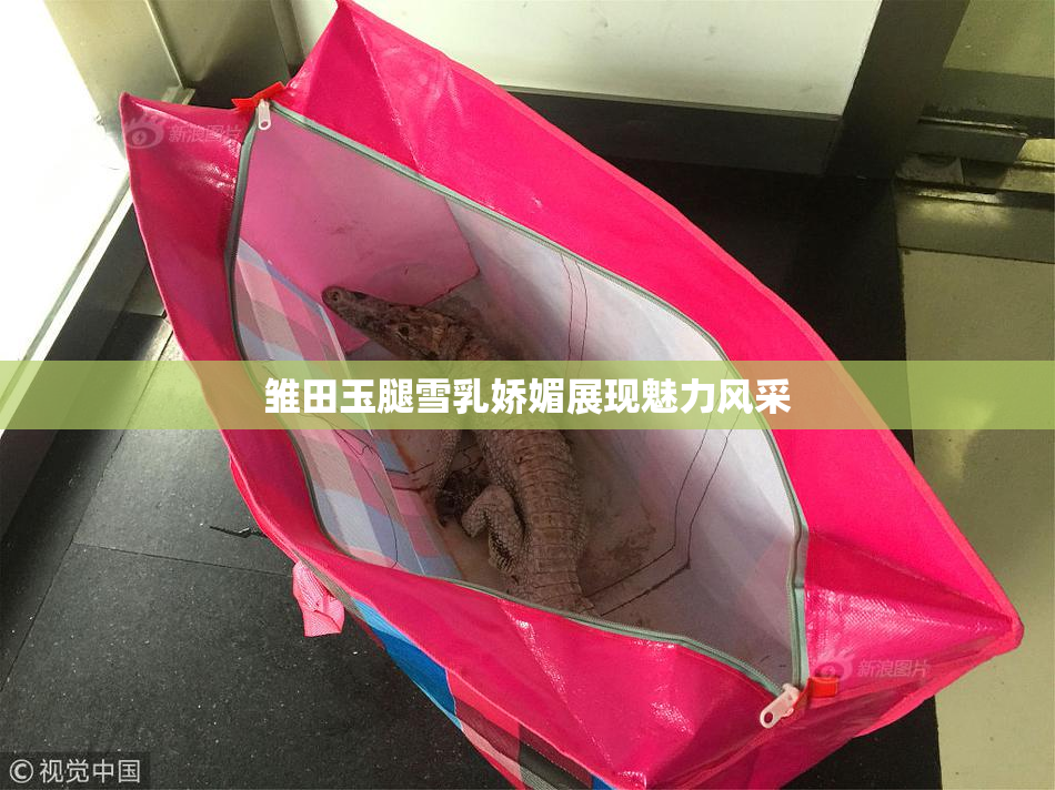 雏田玉腿雪乳娇媚展现魅力风采