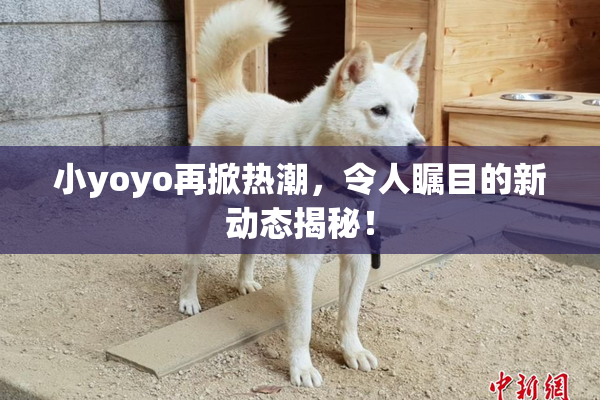 小yoyo再掀热潮，令人瞩目的新动态揭秘！