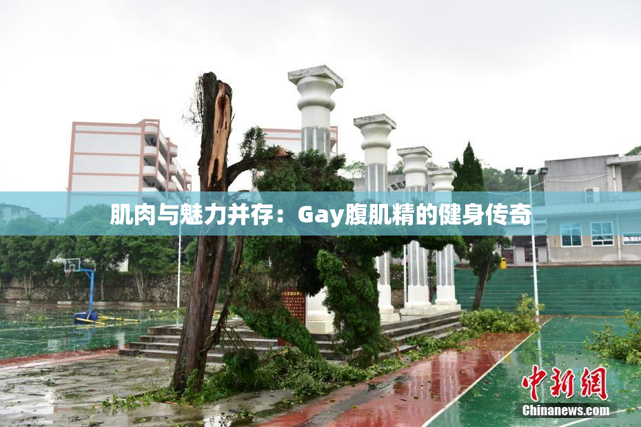 肌肉与魅力并存：Gay腹肌精的健身传奇