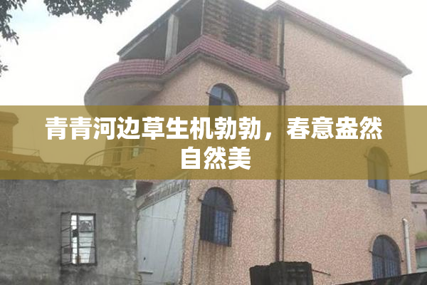 青青河边草生机勃勃，春意盎然自然美