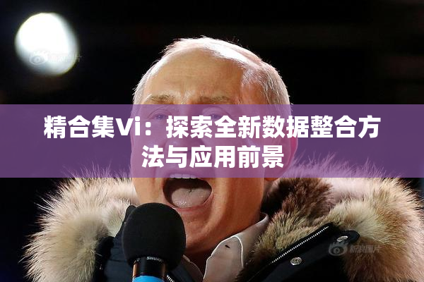 精合集Vi：探索全新数据整合方法与应用前景