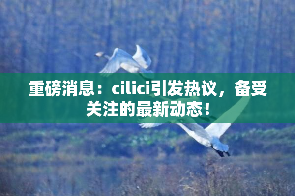 重磅消息：cilici引发热议，备受关注的最新动态！
