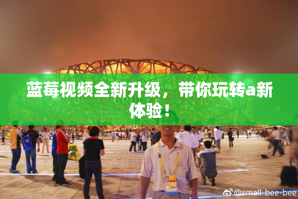 蓝莓视频全新升级，带你玩转a新体验！