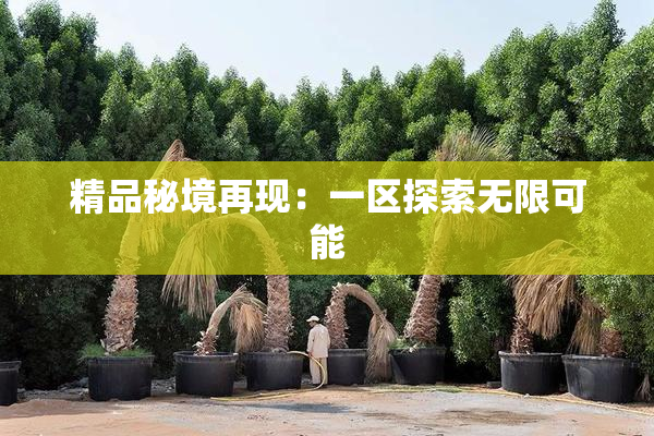 精品秘境再现：一区探索无限可能