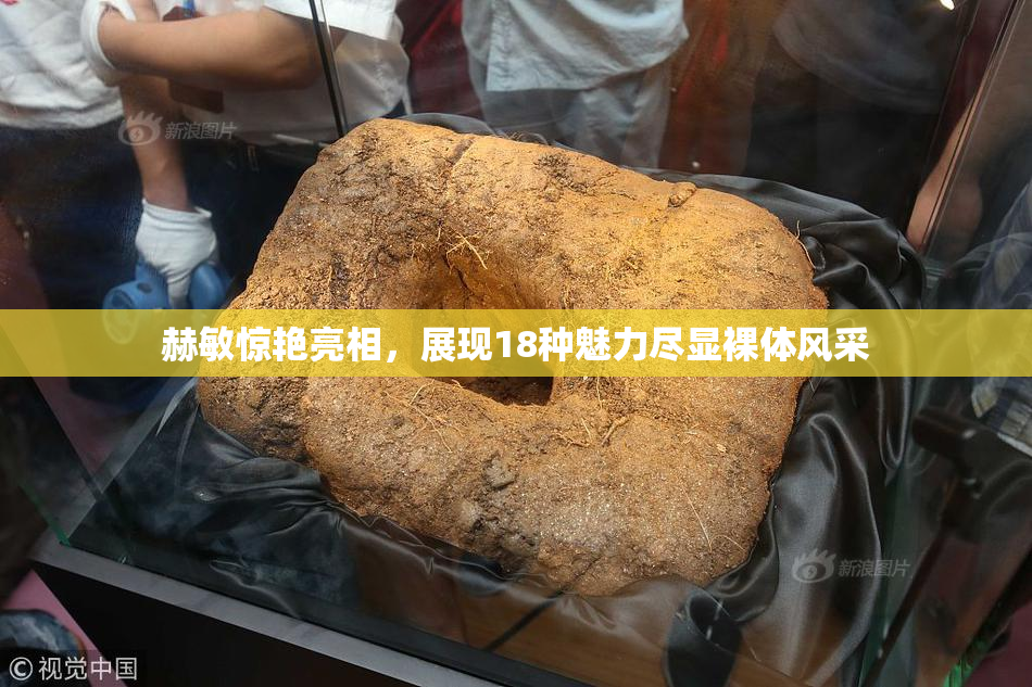 赫敏惊艳亮相，展现18种魅力尽显裸体风采