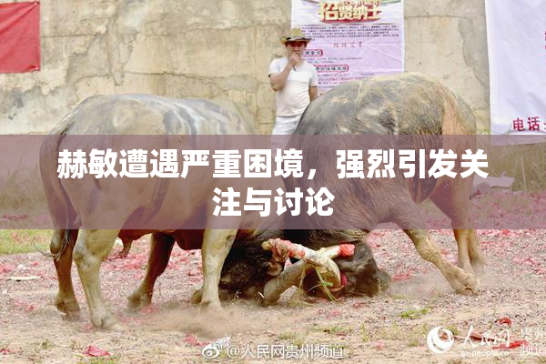 赫敏遭遇严重困境，强烈引发关注与讨论