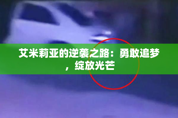 艾米莉亚的逆袭之路：勇敢追梦，绽放光芒