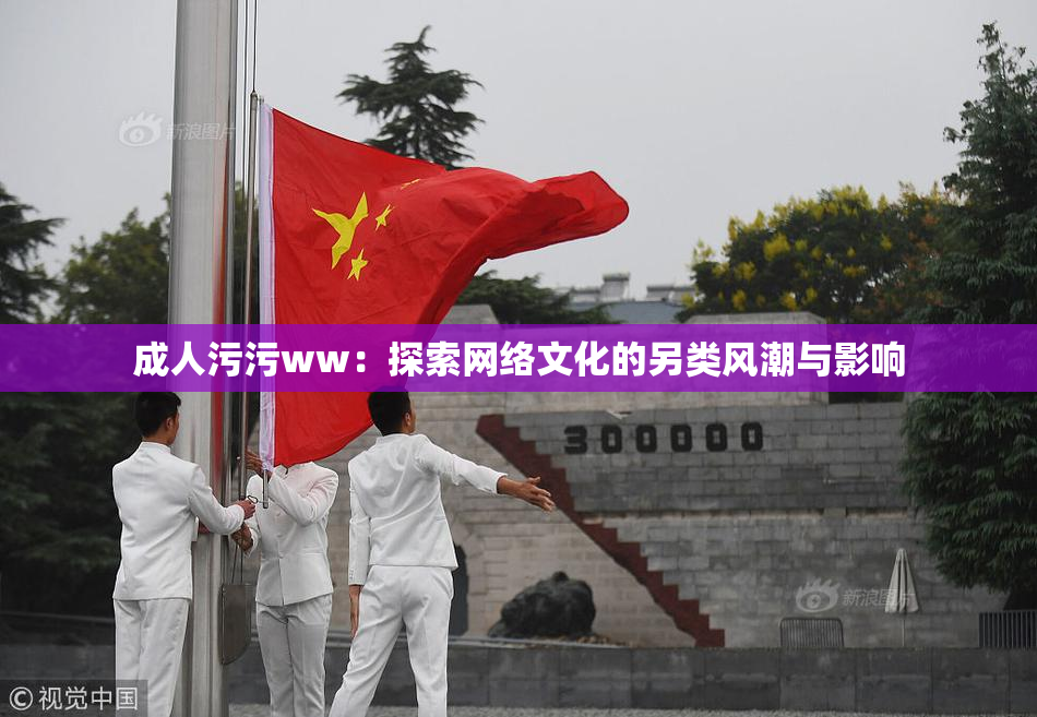 成人污污ww：探索网络文化的另类风潮与影响