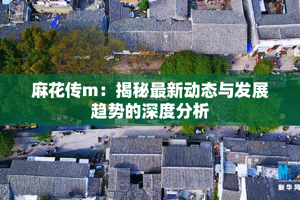 麻花传m：揭秘最新动态与发展趋势的深度分析