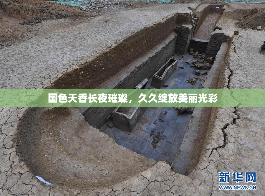 国色天香长夜璀璨，久久绽放美丽光彩