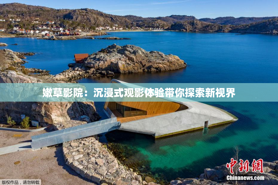 嫩草影院：沉浸式观影体验带你探索新视界