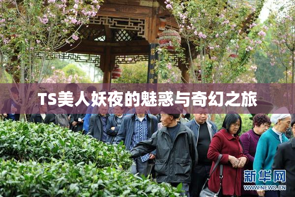 TS美人妖夜的魅惑与奇幻之旅