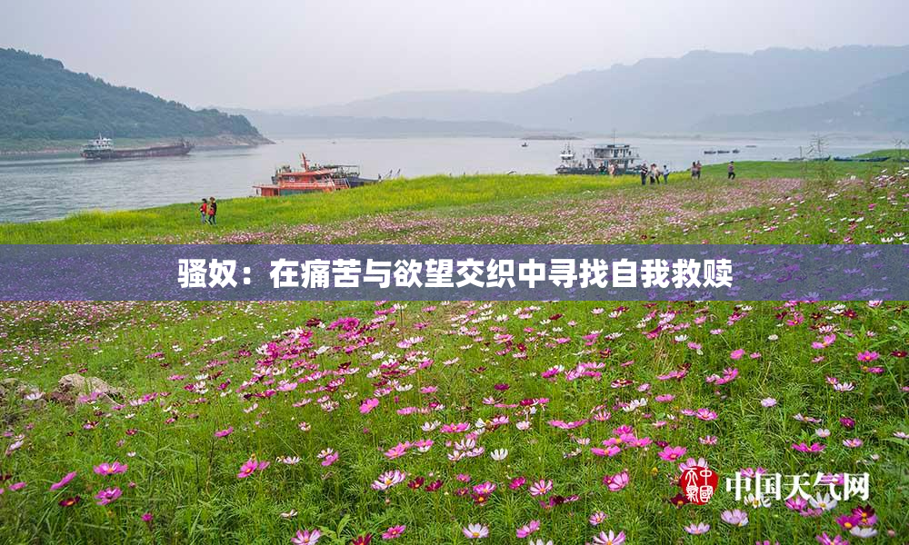 骚奴：在痛苦与欲望交织中寻找自我救赎