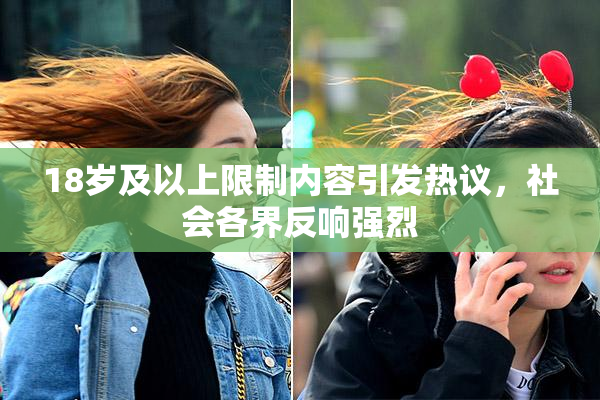 18岁及以上限制内容引发热议，社会各界反响强烈