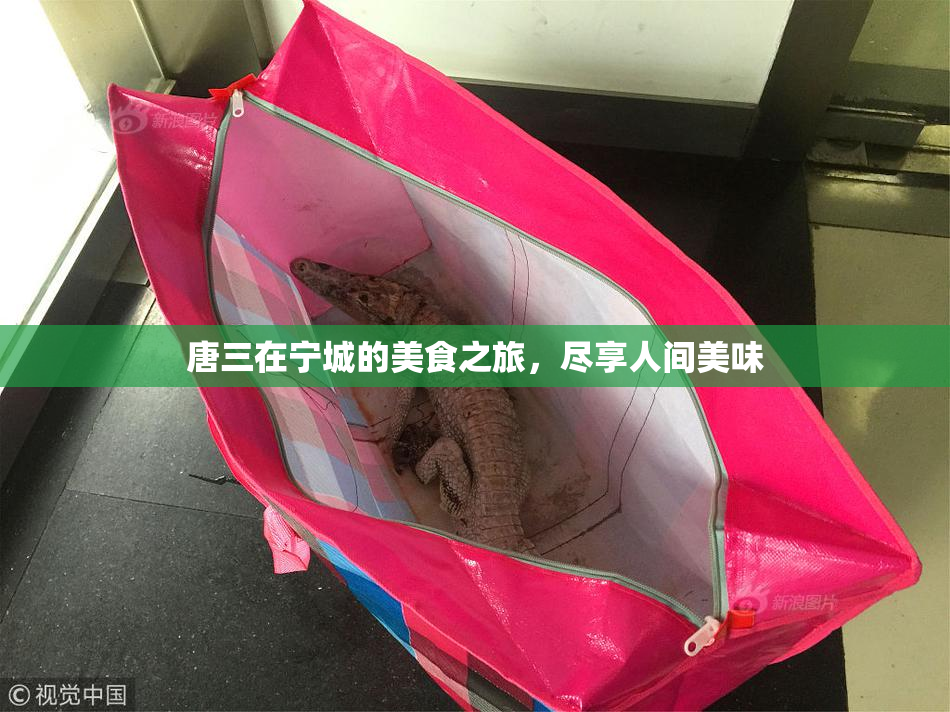 唐三在宁城的美食之旅，尽享人间美味