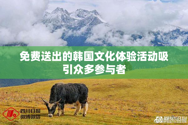 免费送出的韩国文化体验活动吸引众多参与者