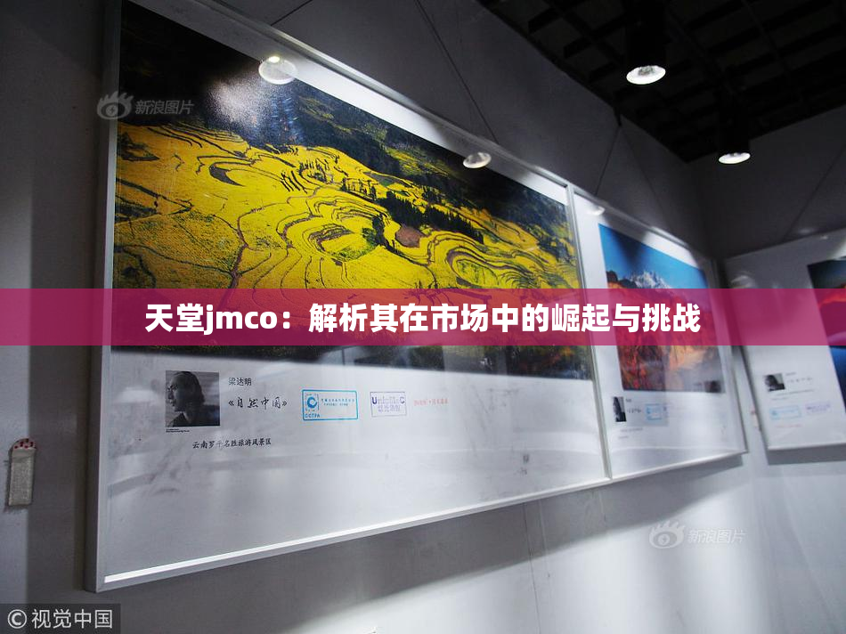 天堂jmco：解析其在市场中的崛起与挑战