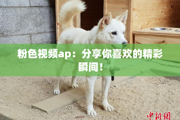 粉色视频ap：分享你喜欢的精彩瞬间！