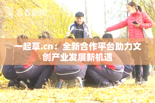 一起草.cn：全新合作平台助力文创产业发展新机遇