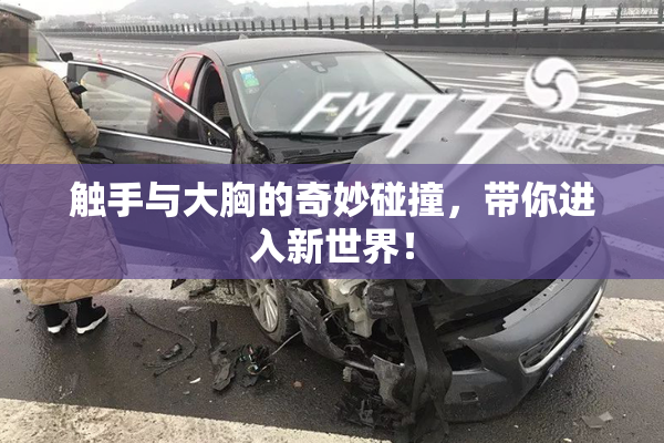 触手与大胸的奇妙碰撞，带你进入新世界！