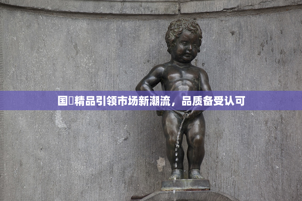 国產精品引领市场新潮流，品质备受认可