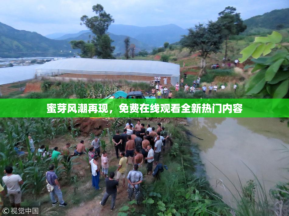 蜜芽风潮再现，免费在线观看全新热门内容