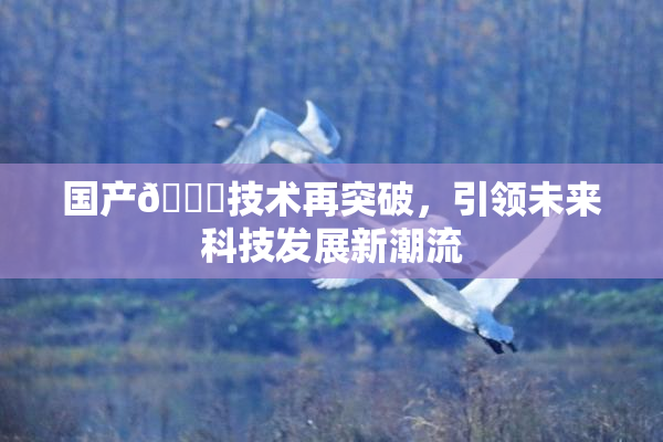 国产🔞技术再突破，引领未来科技发展新潮流