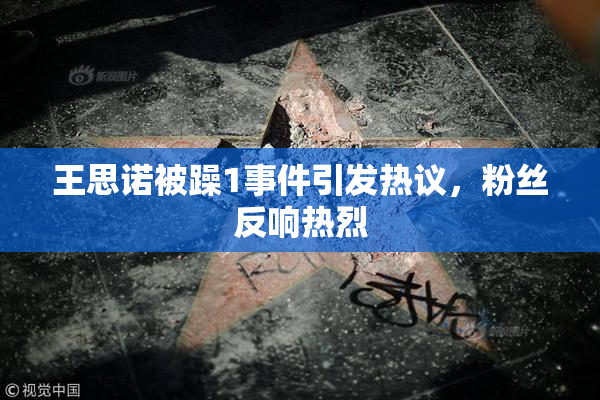 王思诺被躁1事件引发热议，粉丝反响热烈
