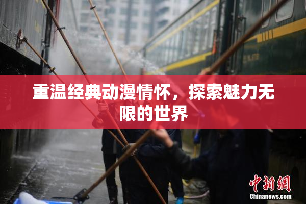 重温经典动漫情怀，探索魅力无限的世界