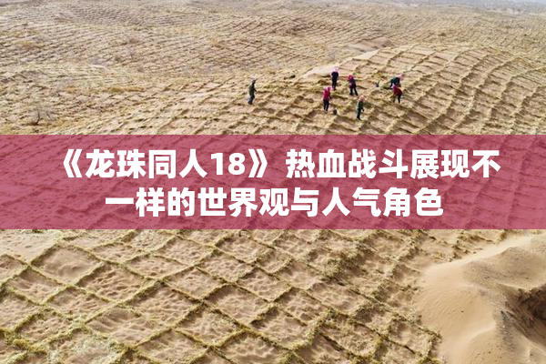 《龙珠同人18》 热血战斗展现不一样的世界观与人气角色
