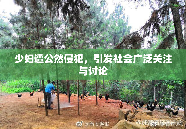 少妇遭公然侵犯，引发社会广泛关注与讨论