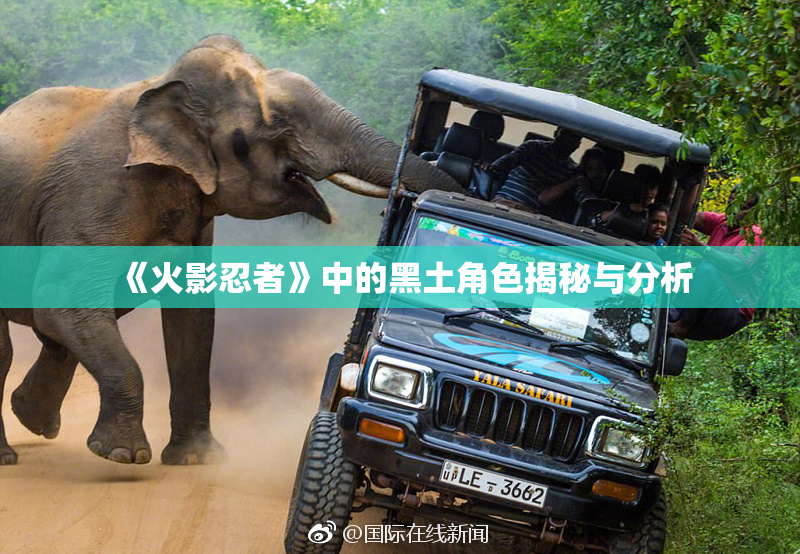 《火影忍者》中的黑土角色揭秘与分析